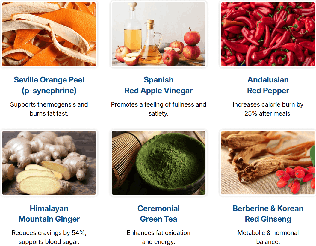 citrusburn ingredients